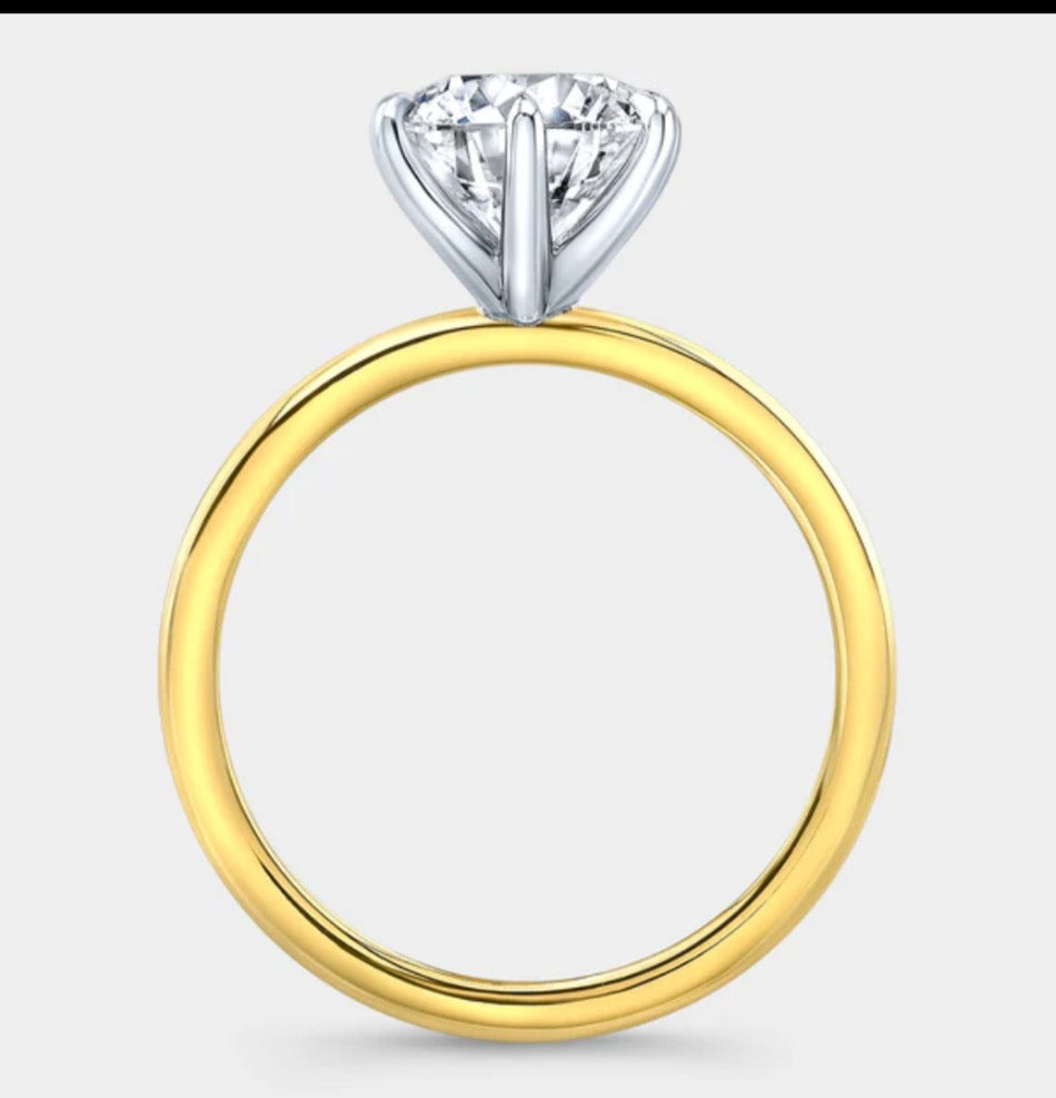 ANILLO Y BANDA